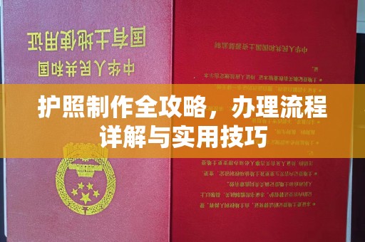 衡水护照制作全攻略，办理流程详解与实用技巧