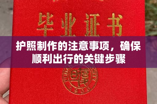 衡水护照制作的注意事项，确保顺利出行的关键步骤