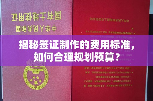 衡水揭秘签证制作的费用标准，如何合理规划预算？