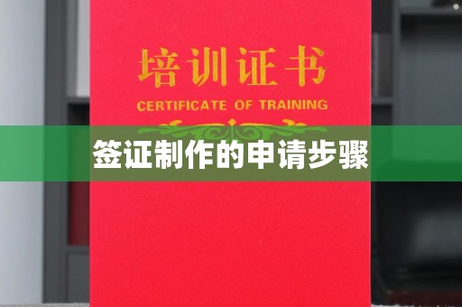衡水签证制作的申请步骤