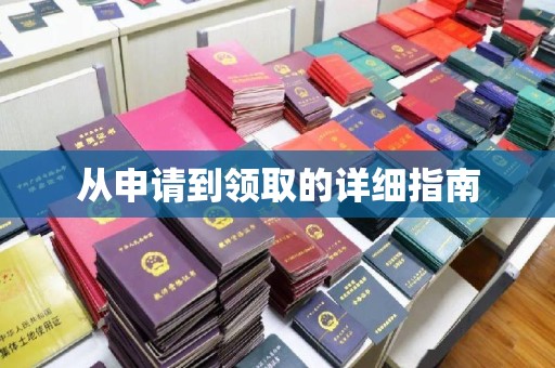 衡水从申请到领取的详细指南