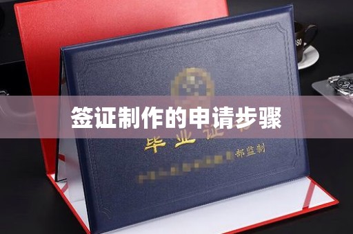 衡水签证制作的申请步骤
