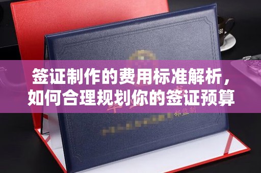 衡水签证制作的费用标准解析，如何合理规划你的签证预算