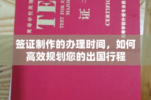 衡水签证制作的办理时间，如何高效规划您的出国行程