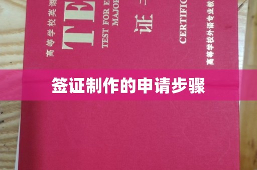 衡水签证制作的申请步骤