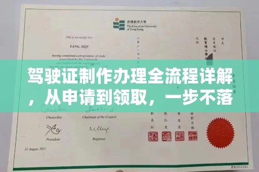 衡水驾驶证制作办理全流程详解，从申请到领取，一步不落